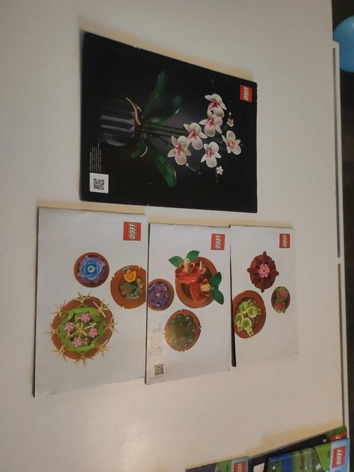 Lot de 2 notices Lego botanic