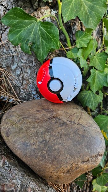 Super pokeball pour figurine Pokemon Nintendo
