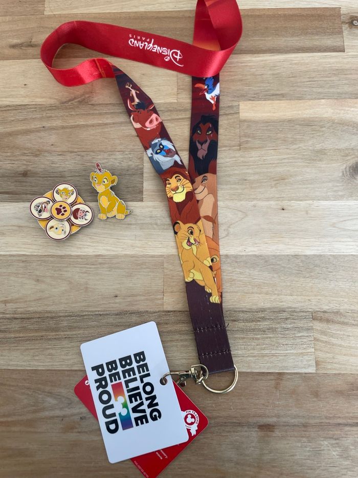❤️💛Ensemble pins et tourde cou Disney Disneyland Paris 💛❤️ - photo numéro 3
