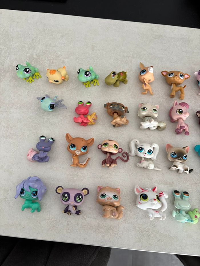 Lot de 37 Petshop année 2006 Petshop anciens et rares - photo numéro 2