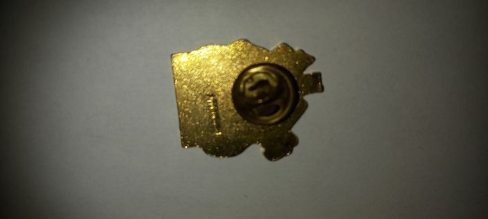 Pin's johnny hallyday - photo numéro 4