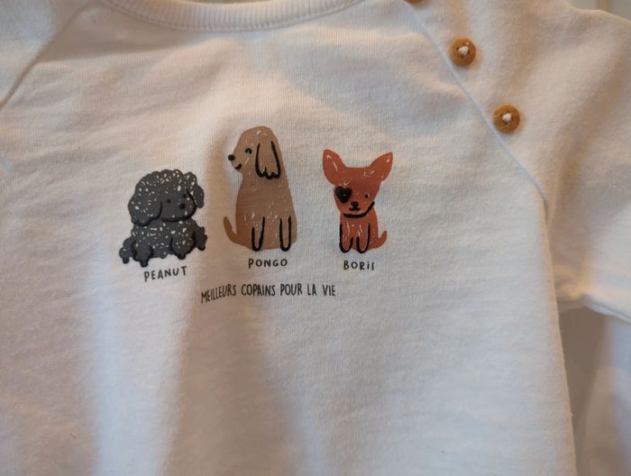 Ensemble avec des chiens - photo numéro 3