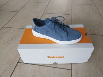 Chaussures bleues timberland