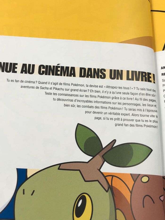 Livre Pokémon les films Pokémon de A à Z - photo numéro 11