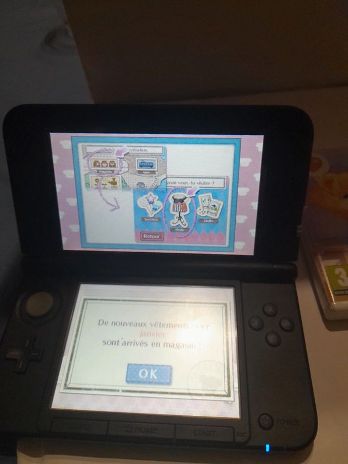 Mon Ours et moi Nintendo 3DS - photo numéro 16