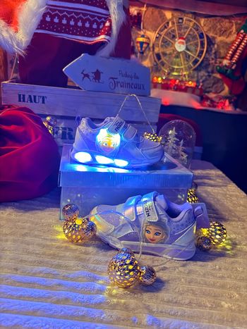 Frozen reine des neiges