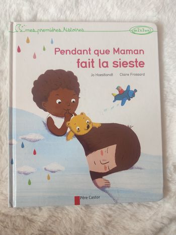Livre “Pendant que Maman fait la sieste” – Jo Hoestlandt / Claire Frossard – Très bon état
