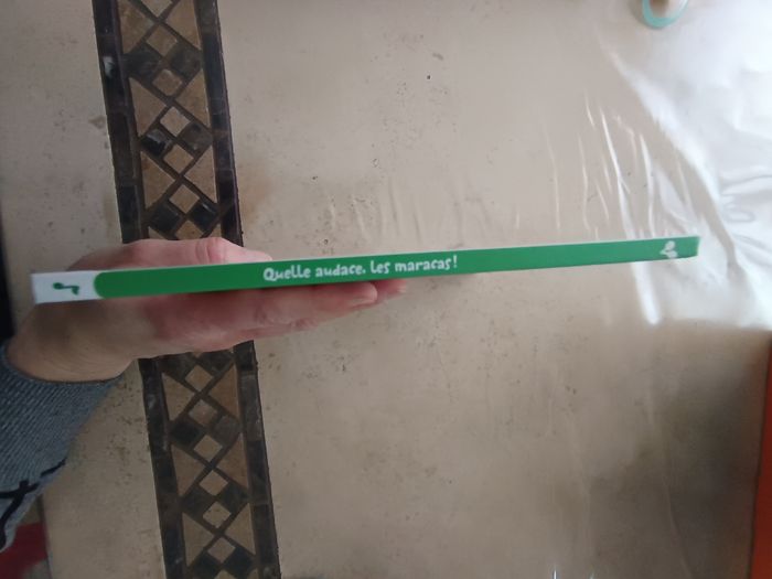 Livre Quelle audace les Maracas - photo numéro 3