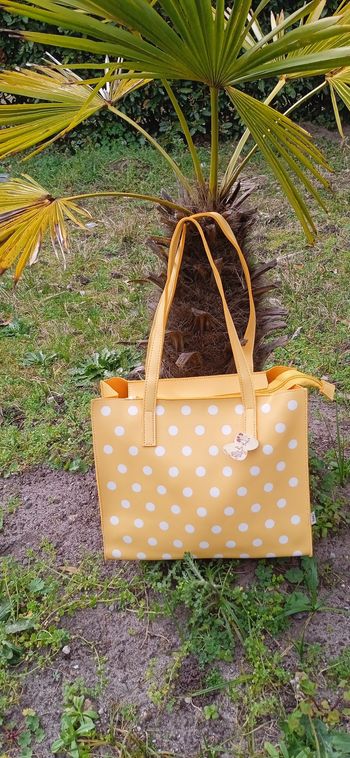 Sac cabas