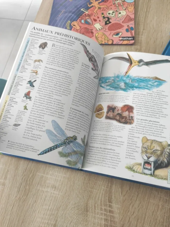 Encyclopédie junior livre découverte - photo numéro 6