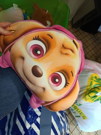 Peluche pat patrouille 
