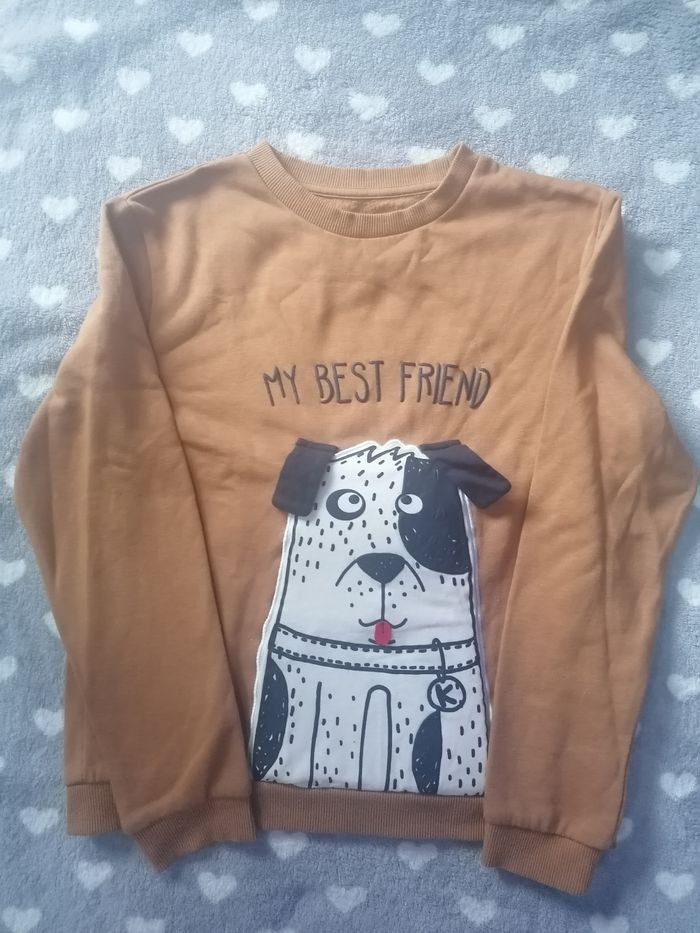 Pull sweat-shirt 🐶 mixte 12 ans - photo numéro 2