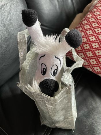 Idefix dans son petit sac