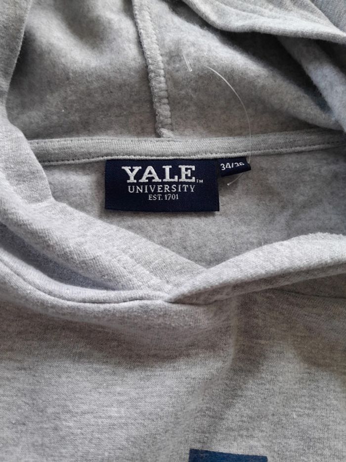 Sweat capuche Yale neuf sans etiquette - photo numéro 3