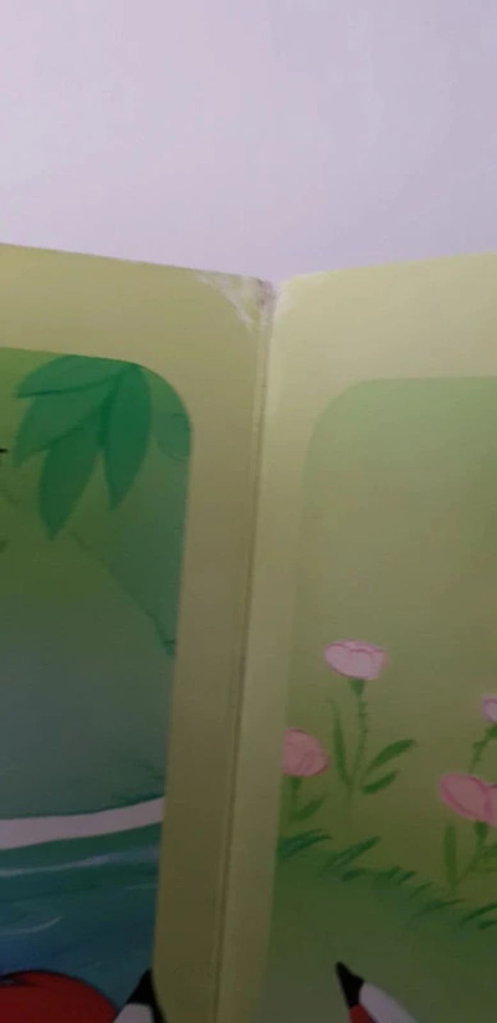 Lot de 2 livres - photo numéro 9