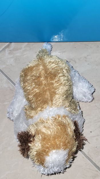 Peluche petit chien