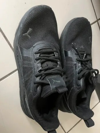 Puma sport