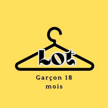 Lot garçon 18 mois 23 articles