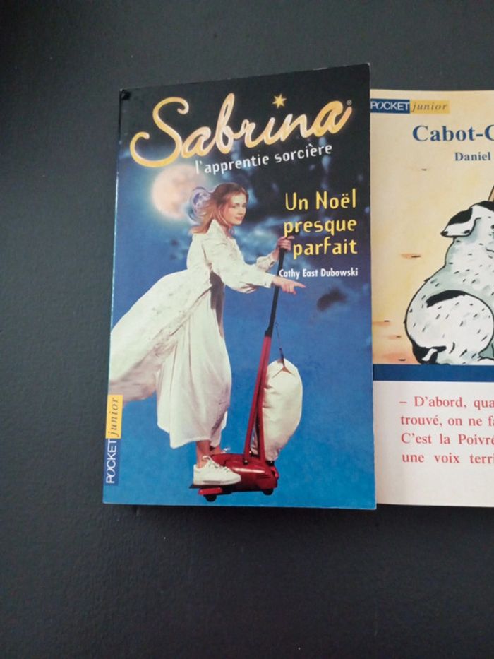 Cabot-caboche - photo numéro 3