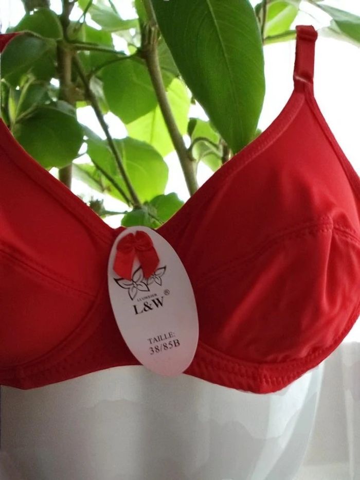 Soutien gorge 85B - photo numéro 2