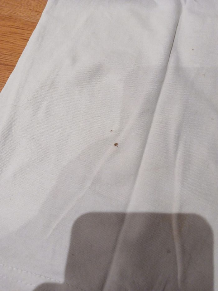 Lot disney 8an - photo numéro 13