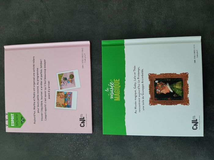 Lot (x2) Livres enfant - Neuf - photo numéro 2