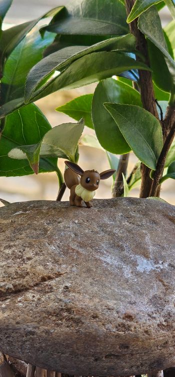 Super figurine Pokemon Nintendo scale world Évoli 