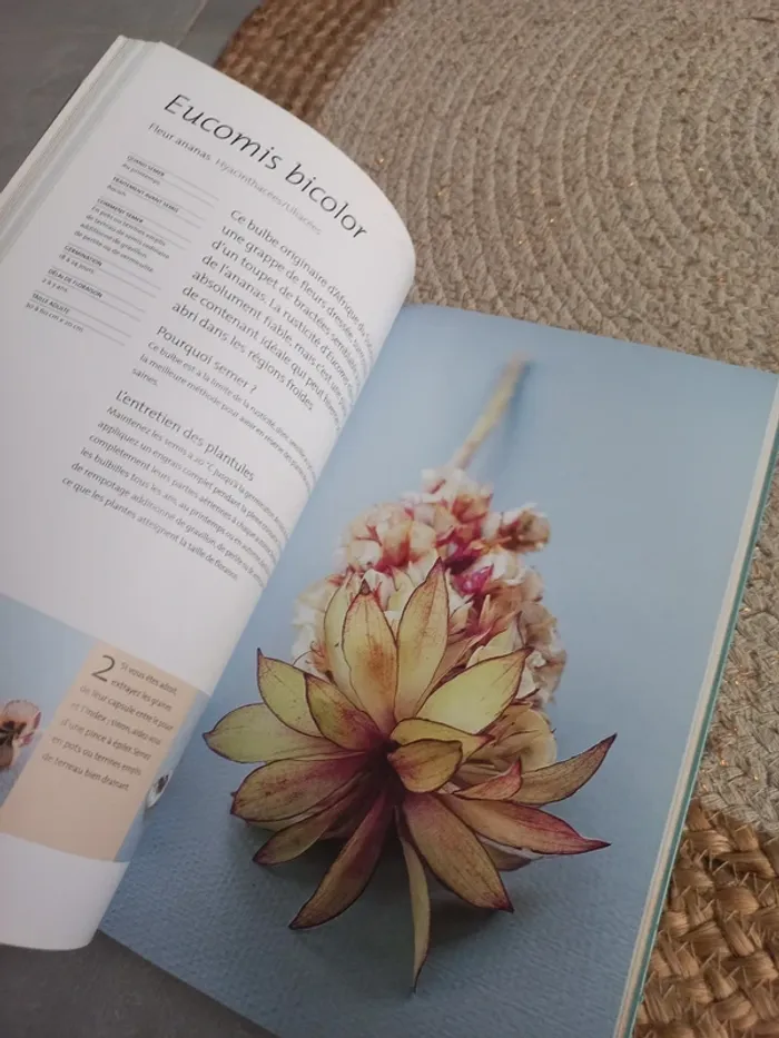 📖 Semis magiques collecter et planter ses graines Marabout - photo numéro 4