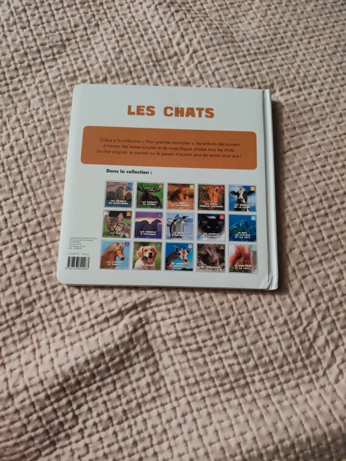 Les chats - photo numéro 2