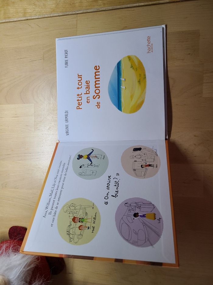 Petit tour en baie de somme - photo numéro 3