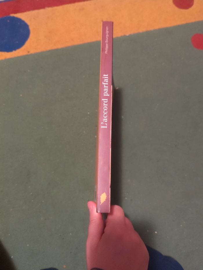 L'accord parfait - photo numéro 2