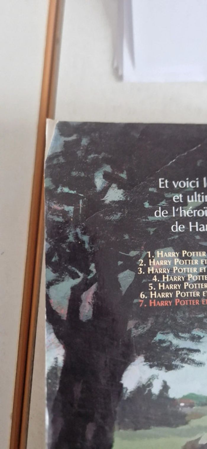 Harry potter les reliques de la mort grand format - photo numéro 4