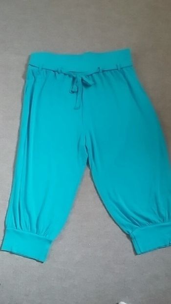 Pantacourt bleu vert