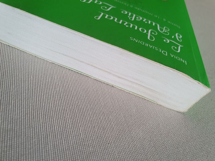 Livre Aurélie Laflamme T4 - photo numéro 7