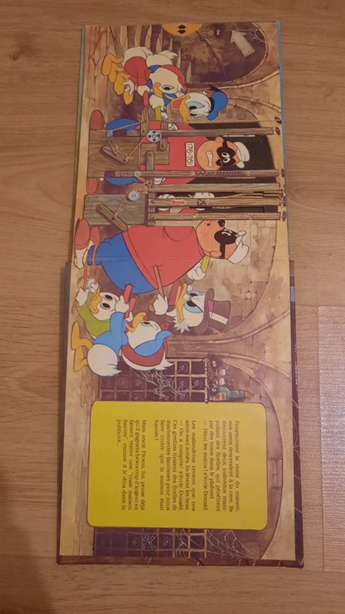 Donald et la maison hantée - photo numéro 7