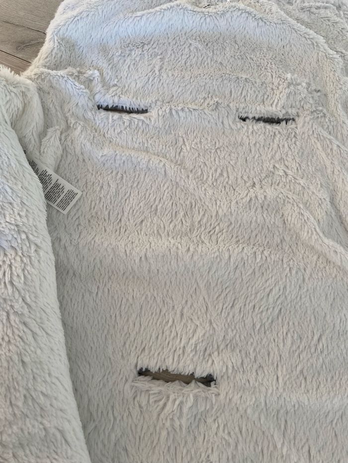 Nid d’ange gris foncé - photo numéro 3