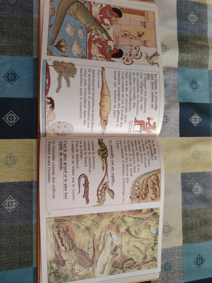 Livre sur le crocodile - photo numéro 17