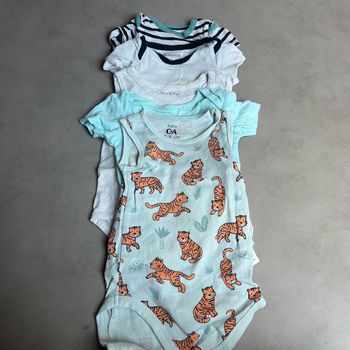 Lot 5 body 12M