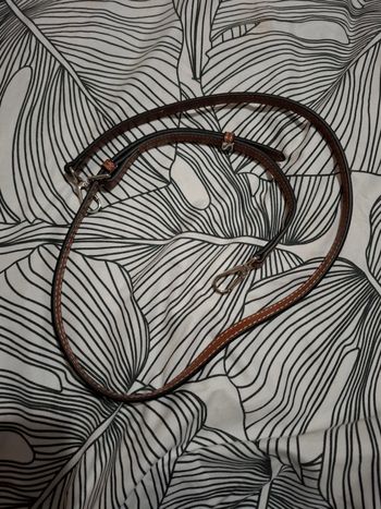 Bandoulière longchamp