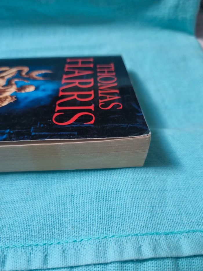 Dragon rouge - photo numéro 4