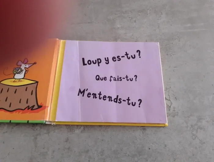 Livre - Que fais-tu ? - photo numéro 5