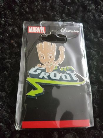 Pin's disneyland paris Groot