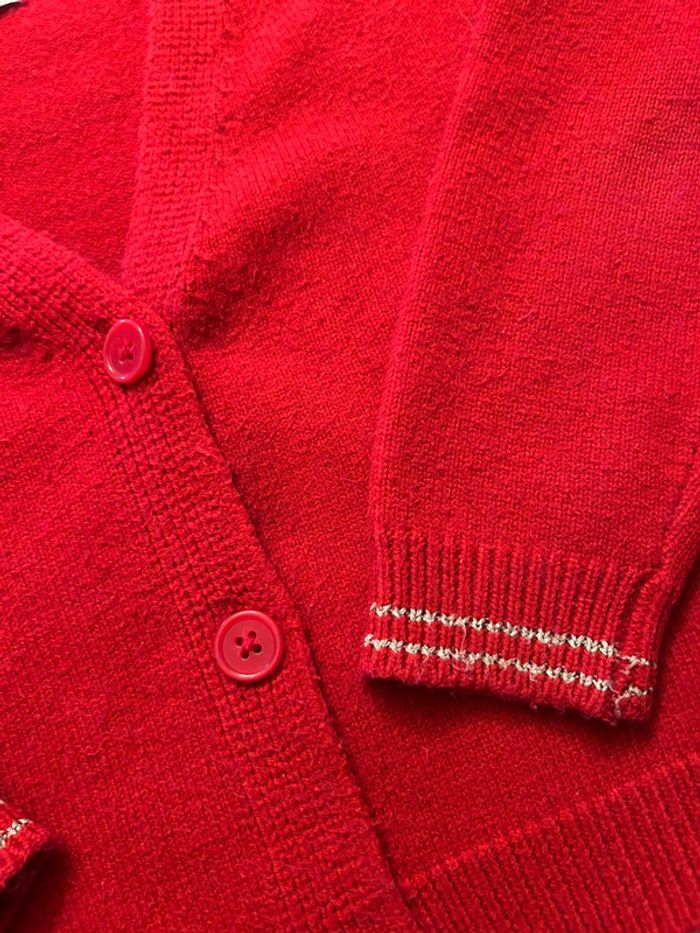 Gilet rouge - photo numéro 3