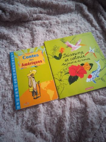 Lot de 2 livres pour enfants