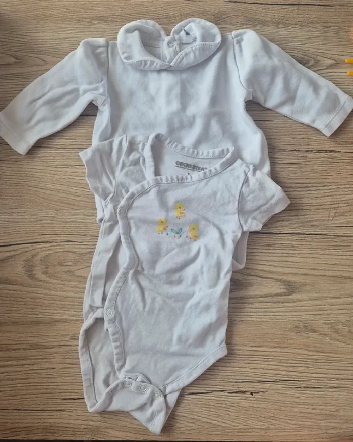 Lot de 10 bodys - photo numéro 3