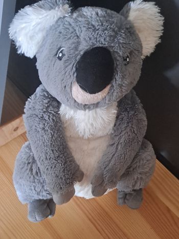 Très s beau et grand koala