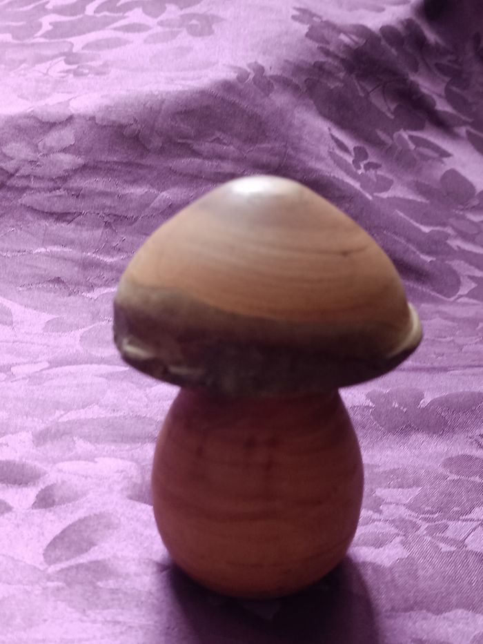 Champignon en bois et autres - photo numéro 8