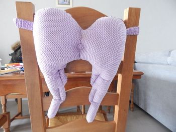 Ailes pour déguisement