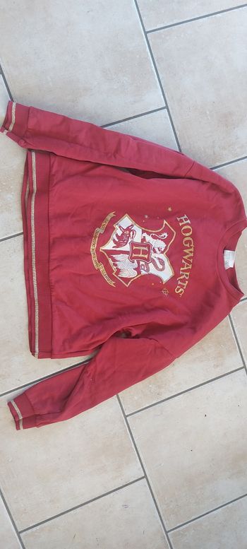 Sweat harry potter