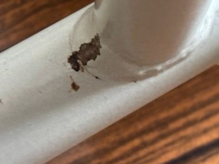 Siège de table pivotant Chicco 360 degrés - photo numéro 10